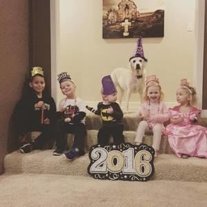 Meet your Posher, Marcy